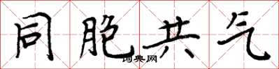 周炳元同胞共气楷书怎么写