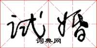 王冬龄试婚草书怎么写