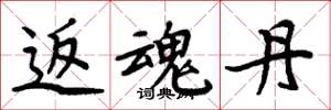 周炳元返魂丹楷书怎么写