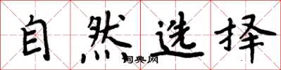 周炳元自然选择楷书怎么写