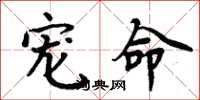 周炳元宠命楷书怎么写