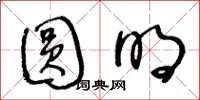 王冬龄圆明草书怎么写