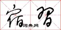 王冬龄宿习草书怎么写