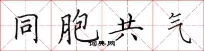 田英章同胞共气楷书怎么写