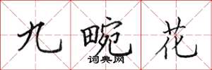 田英章九畹花楷书怎么写