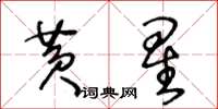 王冬龄黄星草书怎么写