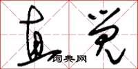 刘少英直觉草书怎么写