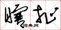 刘少英瞎扯草书怎么写