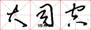 刘少英大司空草书怎么写