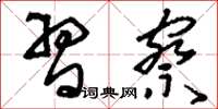 刘少英习察草书怎么写