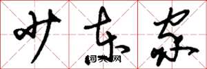 刘少英少东家草书怎么写