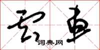 刘少英云车草书怎么写