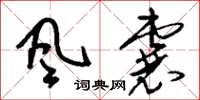 刘少英风囊草书怎么写