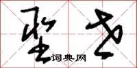 刘少英圣世草书怎么写