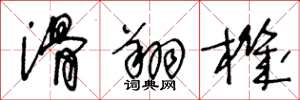 王冬龄滑翔机草书怎么写