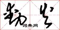 刘少英动火草书怎么写