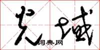 刘少英光域草书怎么写