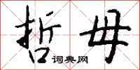 钱沛云哲母行书怎么写