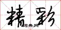 段相林精彩行书怎么写