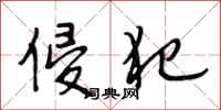 段相林侵犯行书怎么写