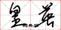 刘少英皇英草书怎么写