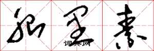 刘少英胎里素草书怎么写