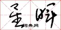 刘少英星晖草书怎么写