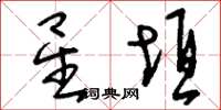 刘少英星垣草书怎么写