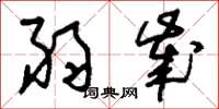 刘少英弱岁草书怎么写