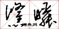 刘少英倏瞬草书怎么写