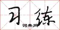 段相林习练行书怎么写