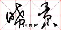 刘少英晞景草书怎么写