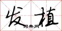 段相林发植行书怎么写
