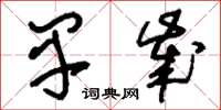 刘少英早岁草书怎么写