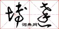 刘少英博达草书怎么写