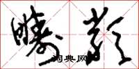 刘少英畴类草书怎么写