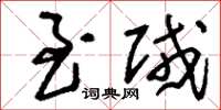 刘少英至贼草书怎么写