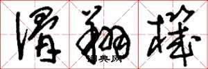 刘少英滑翔机草书怎么写