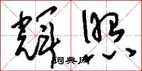 刘少英辉照草书怎么写