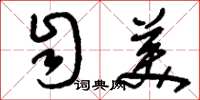 刘少英自美草书怎么写
