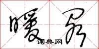 王冬龄暖阁草书怎么写