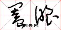 刘少英阖眼草书怎么写
