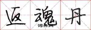 段相林返魂丹行书怎么写
