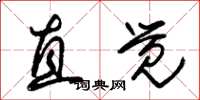 朱锡荣直觉草书怎么写