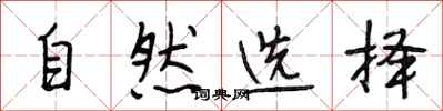 段相林自然选择行书怎么写