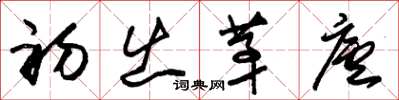 朱锡荣初出茅庐草书怎么写