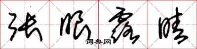 朱锡荣张眼露睛草书怎么写