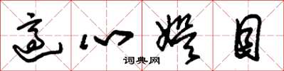 朱锡荣适心娱目草书怎么写
