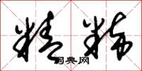 朱锡荣精粹草书怎么写