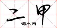 朱锡荣二甲草书怎么写